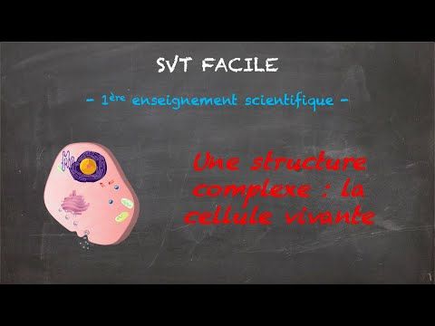 Une structure complexe : la cellule vivante