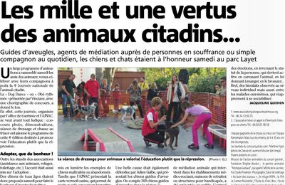 Article dans le journal Nice-Matin