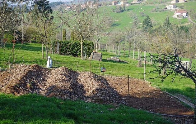 Jardin potager 24 mars 2019