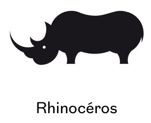 Formation chez Rhinocéros