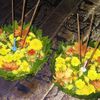 Loy Krathong