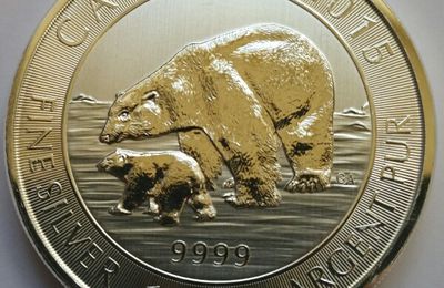 Pièce d'investissement: L'ours polaire et son petit/ Investment coin: Polar bear and cub