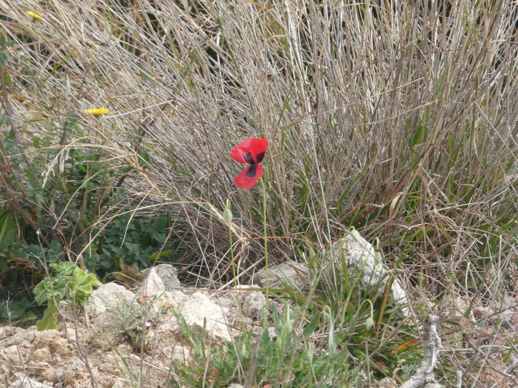 Rando du 4/03/2019 Carrieres de Baou Talla