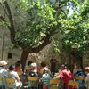 Le Bonheur est dans le "près" à la Bastide Marin