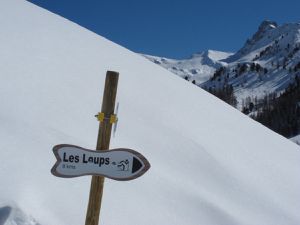 Les 3000 ... la Tête des Toillies et le pic de la Farneiréta ... Les pom'potes