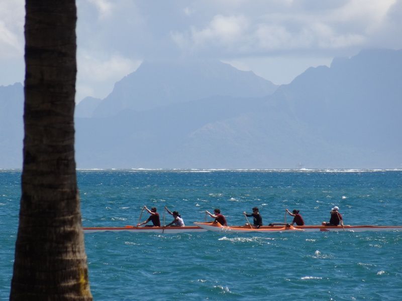 Cet album reprend nos 99 derniers clichés néo-zélandais et les 101 de Tahiti. Deux régals pour les yeux...