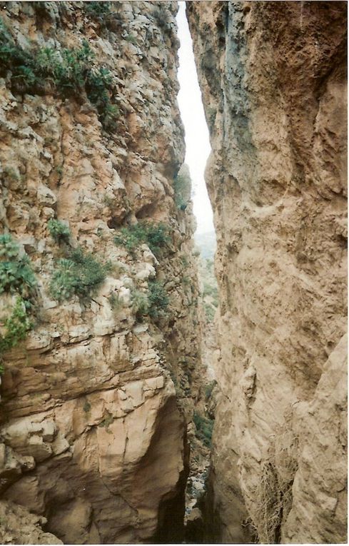 UN LIEU DE BAIGNADE AGREABLE , AU DEBUT DU CANYON ET A LA FIN (l'ACCES SE FAIT PAR LE HAUT OU PAR LE BAS) .ET UNE VOIE DE CANYONING FAITE DE 7 PALLIERS , QU'iL FAUT FRANCHIR EN RAPPEL . LES DEBUTANTS DOIVENT ETRE ACCOMPAGNES D'INITIES ET TOUT LE MONDE DOIT AVOIR SON EQUIPEMENT. LA FERME D'HOTES PEUT VOUS FOURNIR UN ACCOMPAGNATEUR EQUIPE .POUR CETTE JOURNEE DE CANYONNING , IL FAUT COMPTER UNE JOURNEE, MARCHE D'APPROCHE ET DE RETOUR COMPRIS AVEC PIQUE-NIQUE. 