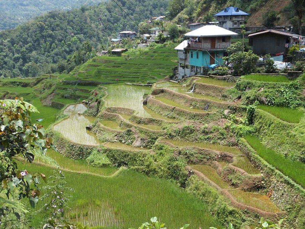 Les petits villages perdus au coeur des rizières