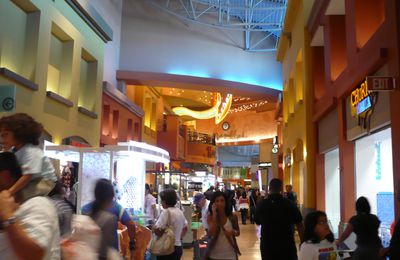 Dolphin mall et Aventura mall