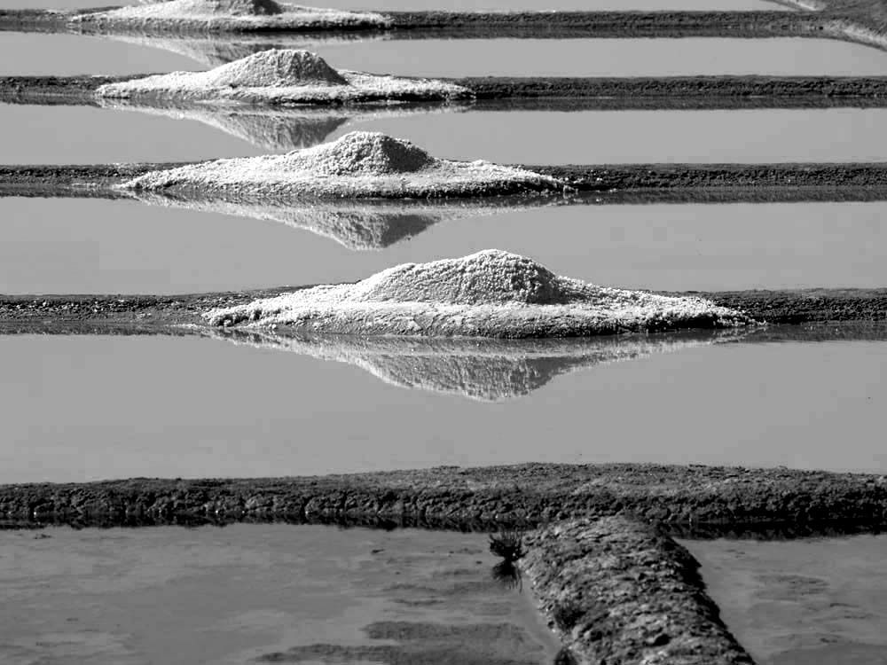 Album - Les Marais-salants de Guerande en noir et blanc