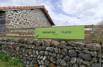 A la découverte de Flaye, artiste peintre plasticien altiligérien