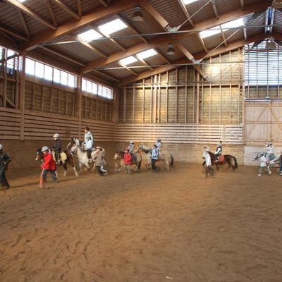 Initiation à l'équitation