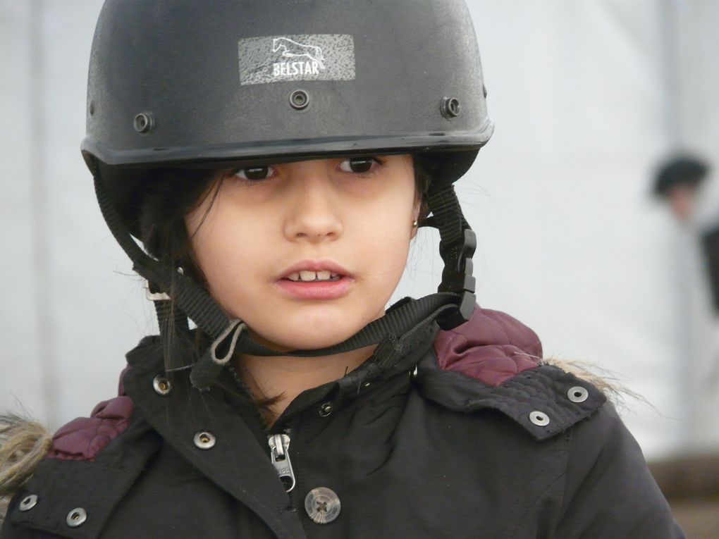 L'EQUITATION au Multisports
