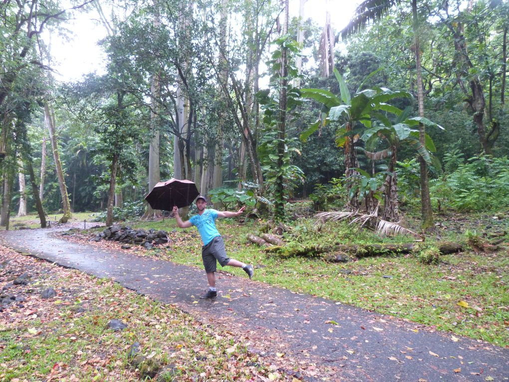 Nous avons passé 2 semaines à Hawaii au cours desquelles nous avons visité les Iles de Maui, de big island, et de Oahu.