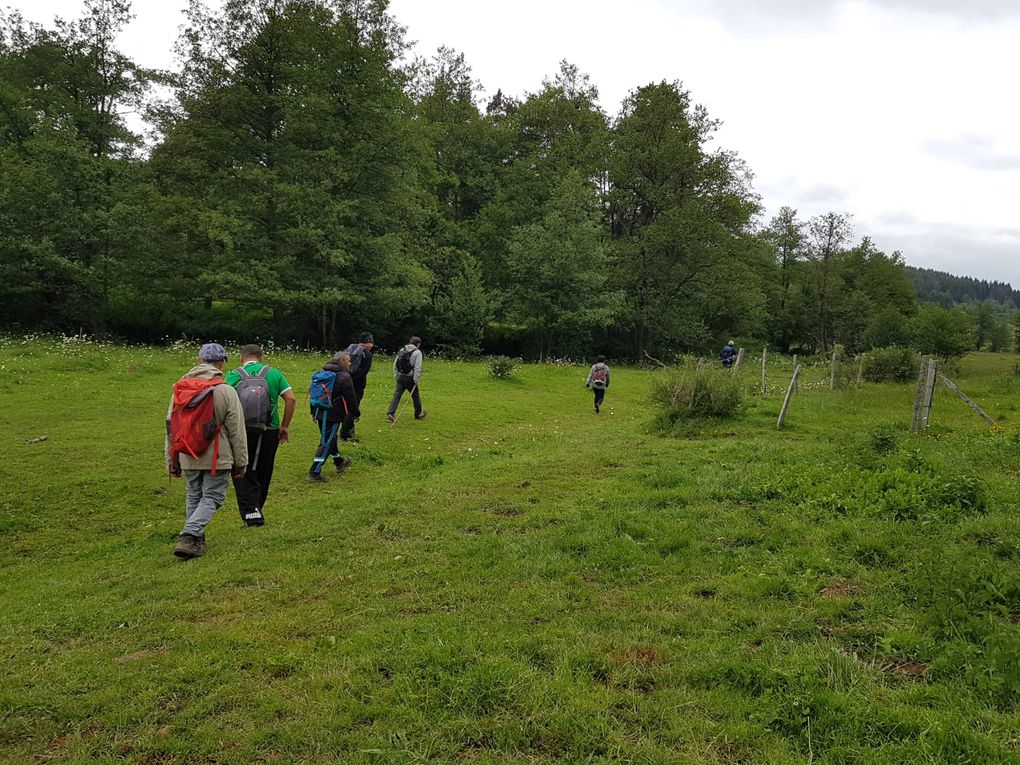 MERCREDI 10 JUIN ; APINAC ; PREMIERE SORTIE DES EPIS 