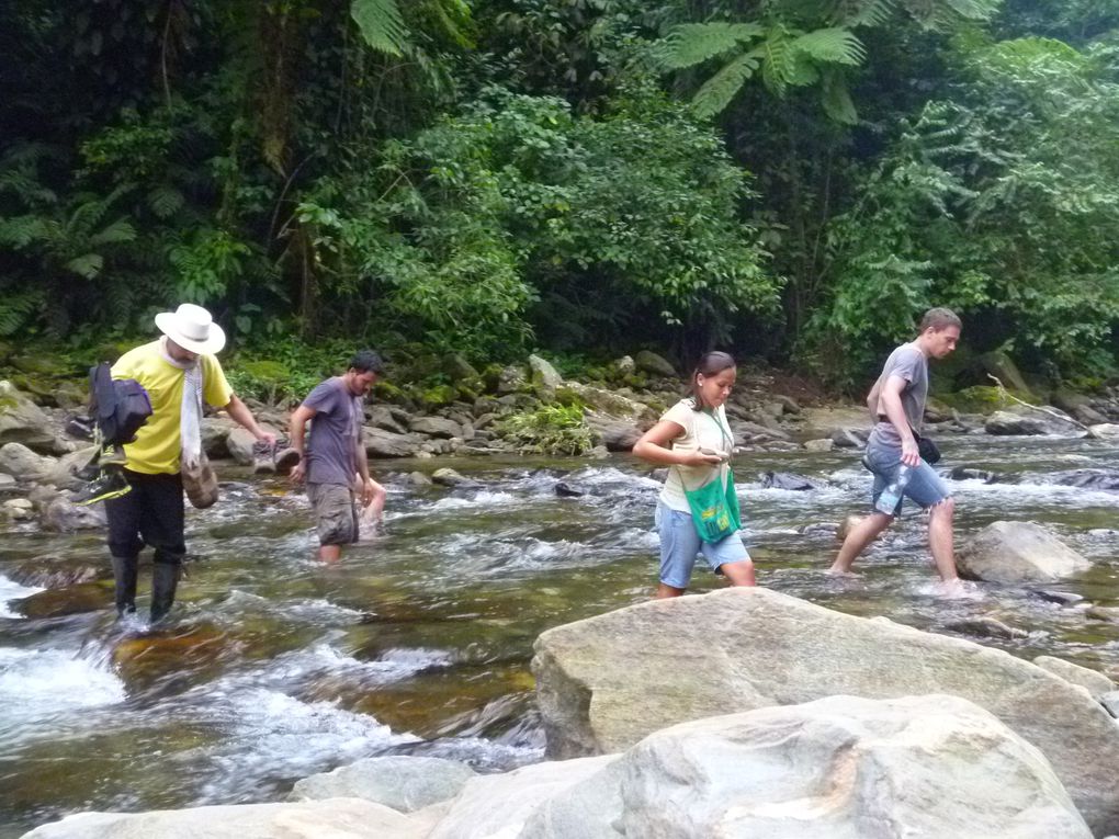 Album - 132--Trek-vers-la-Ciudad-Perdida