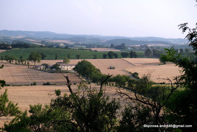 Les Chemins de Photos : Scènes de Vies...du 1 juin au 30 septembre 2019...épisode 1