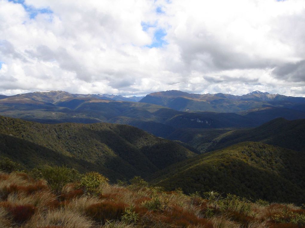 Album - Top South Island