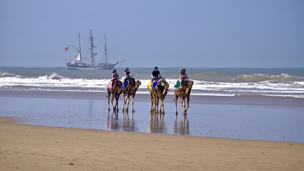 En dehors de la ville, en longeant la plage, on peut apercevoir quelques touristes à dos de chameaux, arpenter la plage, ici accompagnés par le fameux 3 mâts, dont je ne saurai jamais qui il était ni ses merveilleux voyages.