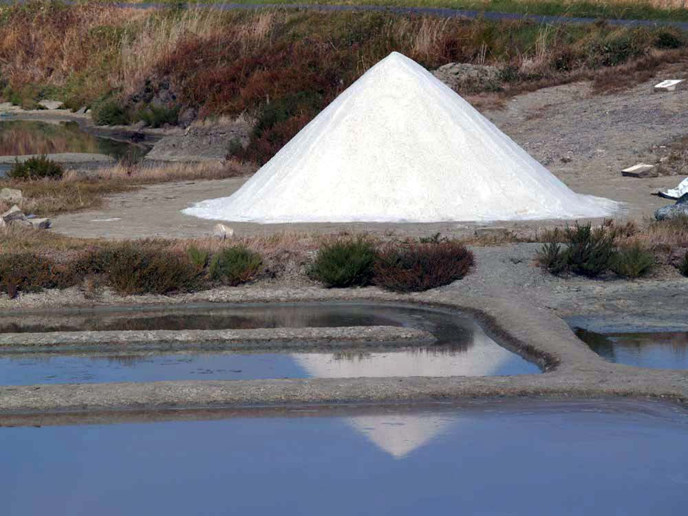 Album - Les Marais-salants de Guerande