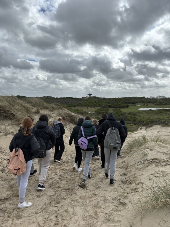 FR24 Discovering the sand dunes