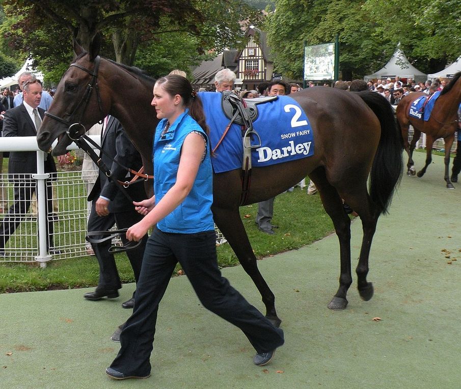 Album - 2012.08.19-Deauville