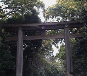 Promenade à Meiji jingu