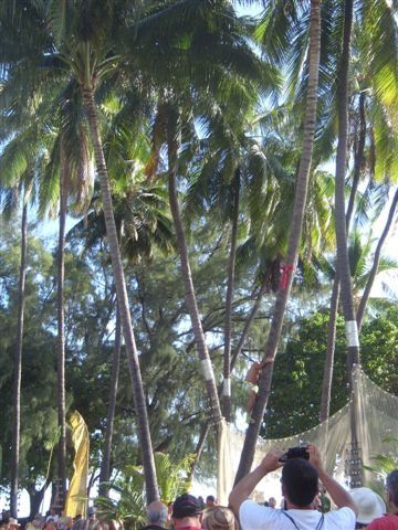 Pendant près d'un mois Tahiti vit au rythme des concours de danse, de chant, grimpé de cocotier....