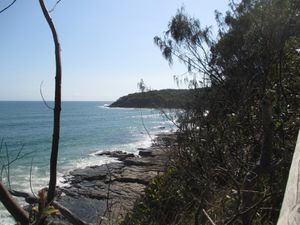 Noosa