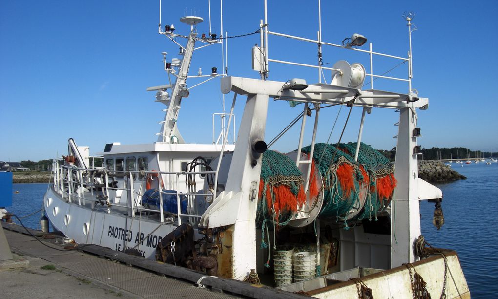 Découverte du port de pêche de Loctudy un lundi matin...