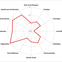 Exemple de SYNTHESE D'UN BILAN D’ORIENTATION PERSONNELLE ET PROFESSIONNELLE (10)