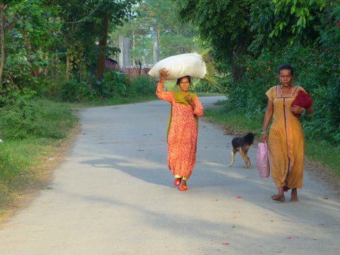 Album - Chitwan