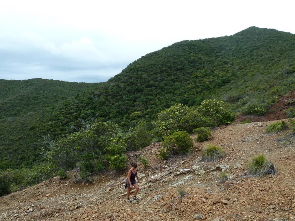 Album - Nouvelle-Caledonie-Iles-des-Pins