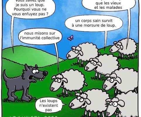 L'immunité collective... message aux complotistes