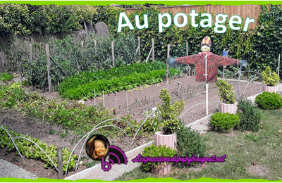 Au potager............