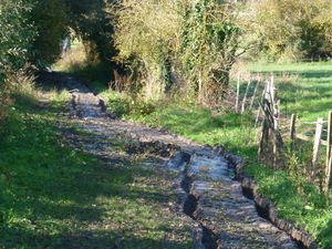 Balade dans les chemins creux. Photos de Alain.