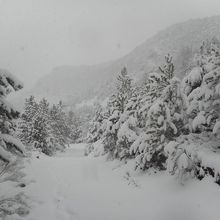 Gros épisode neigeux à Teyssières (20-40cm)