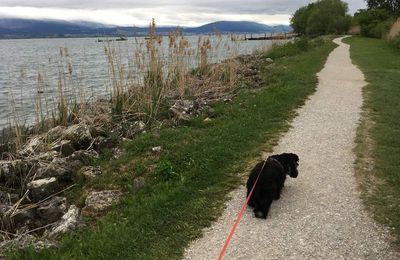 13 mai 2018 : Fête des mères au camping