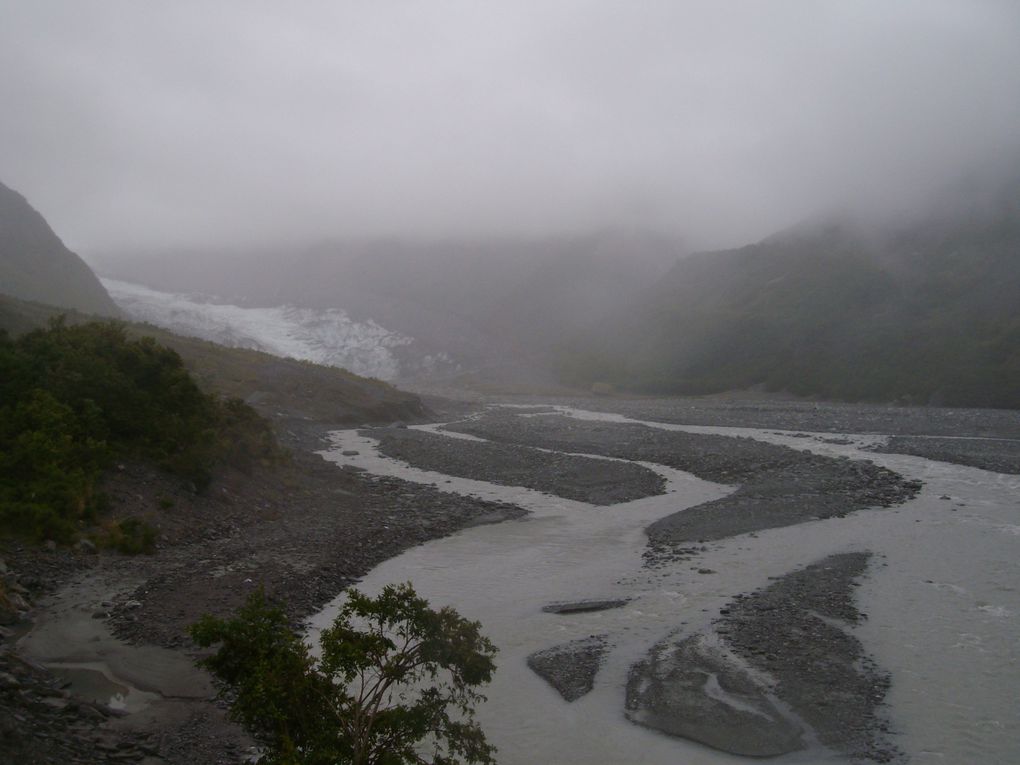 Christchurch - Arthur's Pass - Greymouth - Franz Josef et Fox Glaciers - Harman Pass - Queenstown - Wanaka - Queenstown.
Janvier 2011, avec Max.