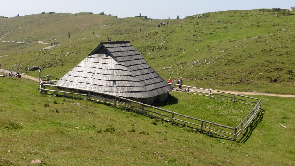 Velika Planina