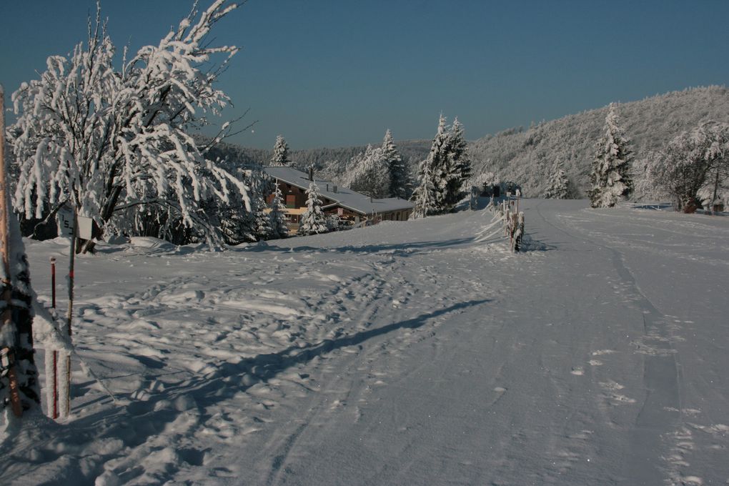 Photos prisent en hiver 2011
Canon 400D et 55/200mm de canon