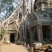 Angkor au Cambodge (4 photos) - Le blog de Bernard Moutin