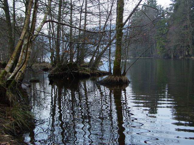 <P><FONT color=#0000ff><STRONG>au pied de la ROUTE des CRETES</STRONG></FONT></P>
<P><FONT color=#0000ff><STRONG>le lac de LONGEMER</STRONG></FONT></P>