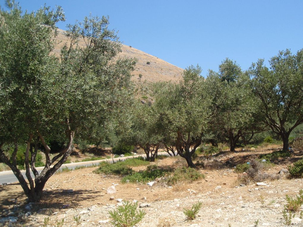 l'Albanie du Nord au Sud, à la rencontre d'une population très accueillante, de beaux paysages,  quelques vestiges du passé.