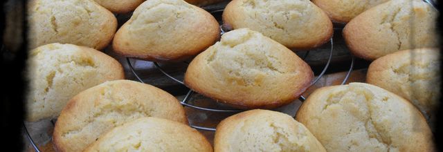 Délicieuses petites madeleines