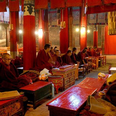 Apprendre et vivre, proverbe tibétain