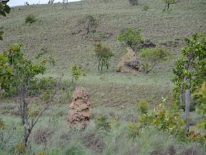 Santa Elena de Uairen (Venezuela) - Lethem (Guyana) - 370 km - Parenthese bresilienne