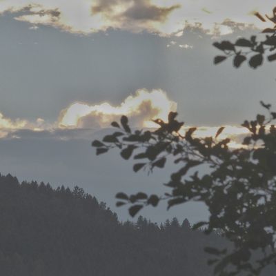 lesveinesmauves.over-blog.com