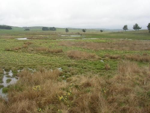 Album - De-Aumont-aubrac-a-Nasbinals