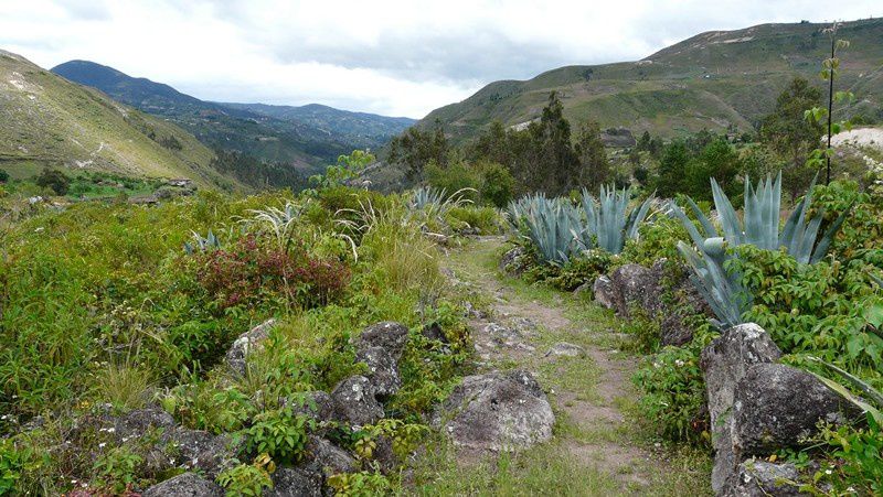 villages d artisants et sejour dans une famille indigene shuar